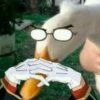 /11