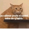ya cállese profe ni usted sabe de q habla