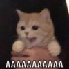 ΑΑΑΑΑΑΑΑΑΑΑ