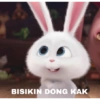 BISIKIN DONG KAK