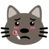 11/