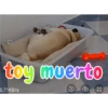 toy muerto 0,71 KB/s 57 KY