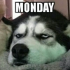 MONDAY