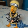 L qu? ac L Aeglament mutant abuow Scoa AUA 60