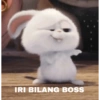 IRI BILANG BOSS