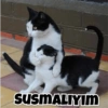 Çok komikmiş bi daha olmasın 25
