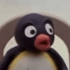 Pingu  18