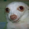 REAÇÕES DE TODO TIPO  13