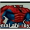 5 ladri post mal ahi rey