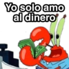 Yo solo amo al dinero Harley Stickers