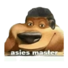 asies master