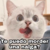 Te puedo morder una nalga?