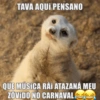 TAVA AQUI PENSANO QUE MÚSICA RÁI ATAZANÁ MEU ZÖVIDO NO CARNAVAL