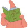 THE PHYSICS OF GAY