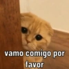 vamo comigo por
favor