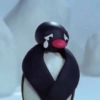 Pingu  5