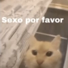 Sexo por favor