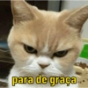 para de graça...