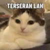 TERSERAH LAH