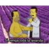 Si venga toda la lavanda
