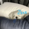 4222