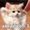 @dcxalexa abracito <3