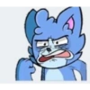 Sebas pro gatito 2020 10