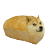 Memes de animais 7