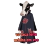 My bad memes 13