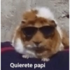 Quierete papi