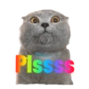 Plssss