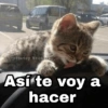 Así te voy a hacer