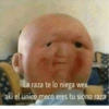 LOS La raza te lo niega wex aki el unico meco eres tu siono raza