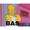 BAS DES