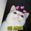 Oll AMOR