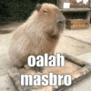 oalah masbro
