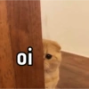 oi
