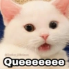 Queeeeeee