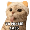YA NO ME CAES