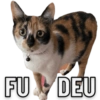 FU DEU
