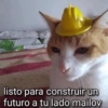 listo para construir un futuro a tu lado mailov