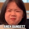 ANEH BANGETT
