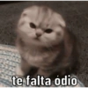 te falta ódio