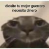 diosito tu mejor guerrero necesita dinero