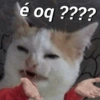 MEMES pra vc baixar 😜 17