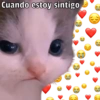 🐱🐾Mishis🐈🐈‍⬛Para Tu Crush💘😻 5