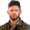SPN Family 14