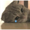 Sad triste 26