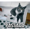 PASSADA