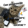Can you provide A SCOPE OF WORK?